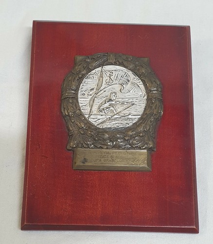Premio vecchia medaglia