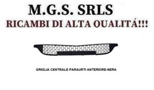 GRIGLIA CENTRALE PARAURTI