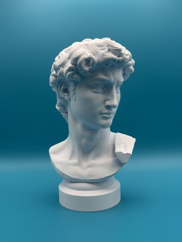Busto david michelangelo - busto,