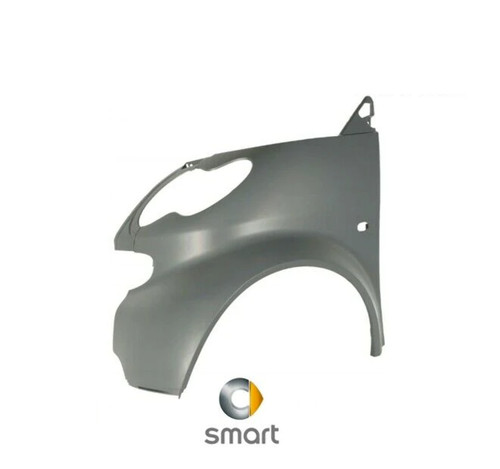 Parafango paraurti smart - parafango,