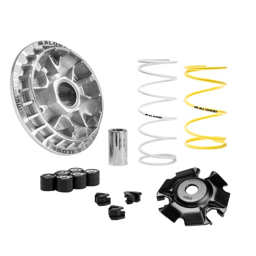 Variatore malossi multivar - variatore,