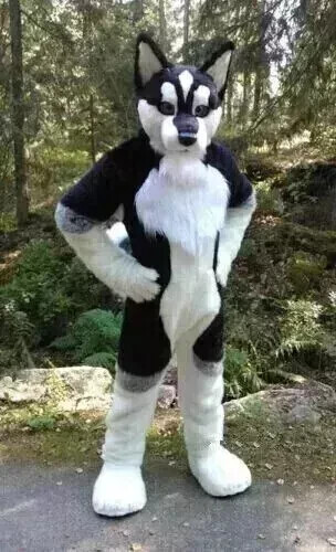 Costume lungo pelliccia husky