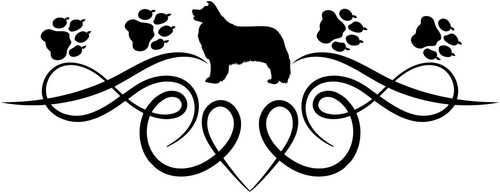 Border collie adesivo auto - border,