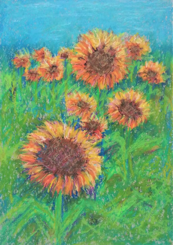 Girasoli dorati olio - , pastello