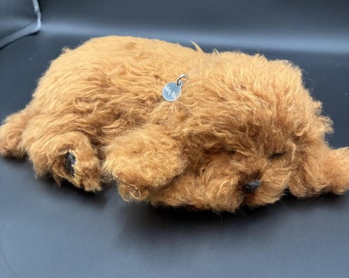 Petzzz barboncino marrone - petzzz,