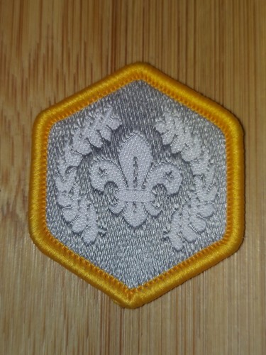 Current scouting chief - current, uk