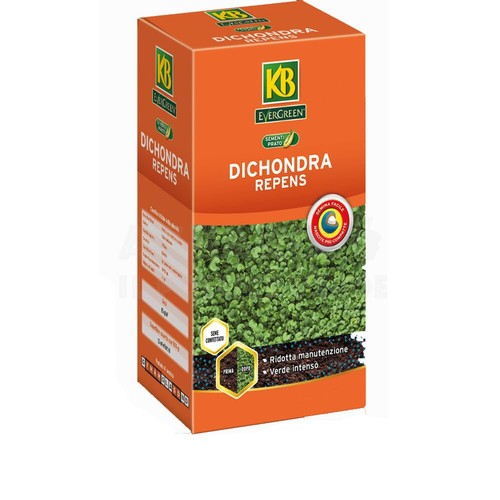 Dichondra repens 250 - , gr