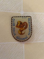 Walt Disney - Spilla Club Delle Giovani Marmotte