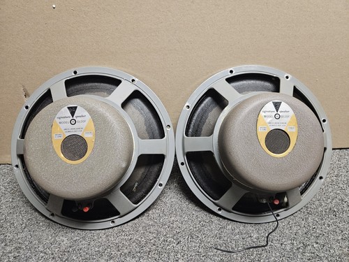 Coppia diffusori amplificatore