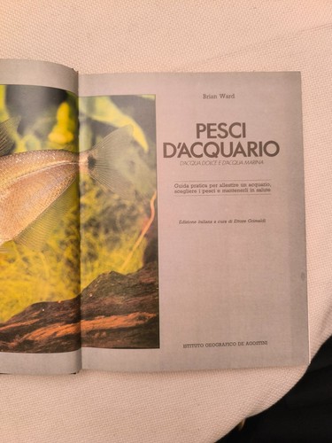 Pesci acquario acqua dolce - pesci, d'acquario