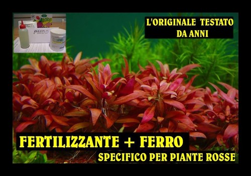 Pmdd ferro per piante - ,