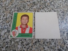 BERNARD (VICENZA) PANINI