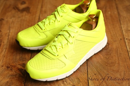 Scarpe ginnastica gucci ace - scarpe,