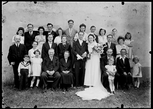 Portrait group guests family - portrait,