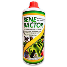 Bene bactor 1000ml - bactor, soluzione