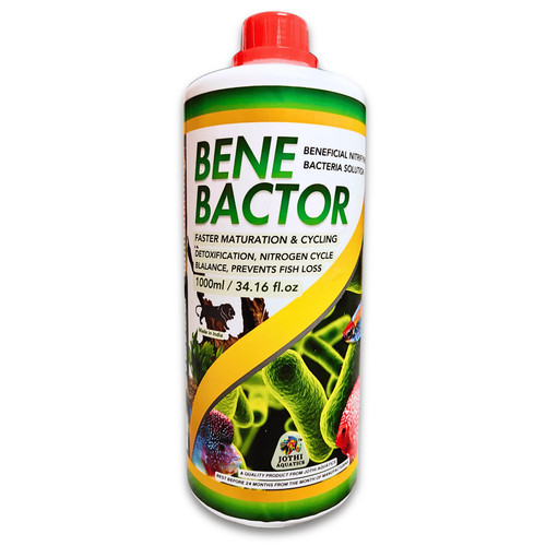 Bene bactor 1000ml soluzione - bactor,