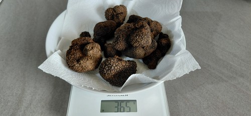 200g tartufo nero estivo - 200g,