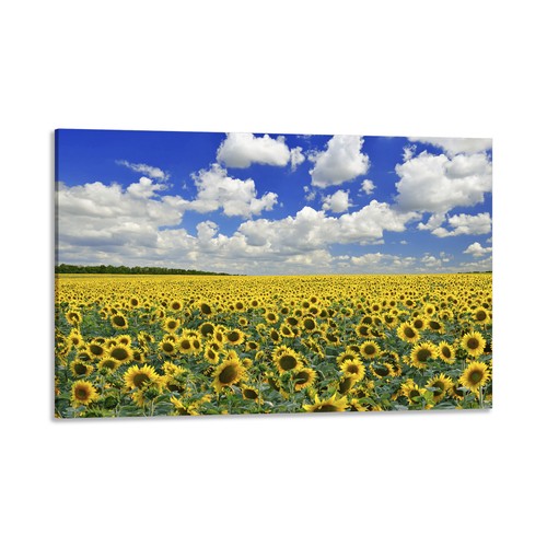 Quadro stampa tela con - quadro,