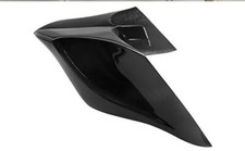 Harley Davidson fianchetti