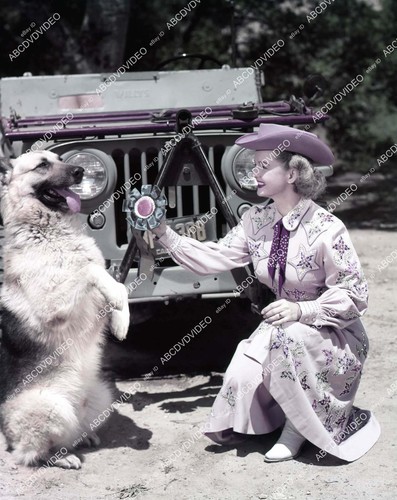 Dale evans bullet il cane - e,