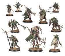 NOS Warcry Rotmire Creed