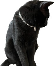 Collare per Gatto o Cane in