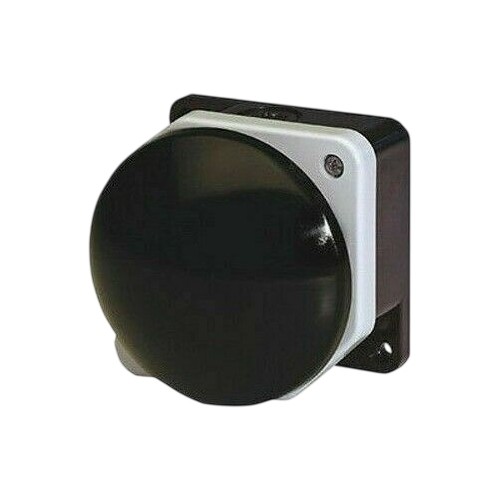 Pulsante fungo nero - fungo,