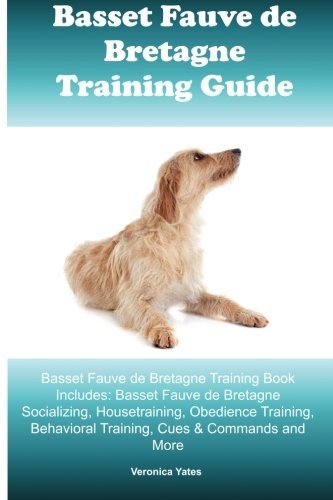Basset fauve bretagne - basset,