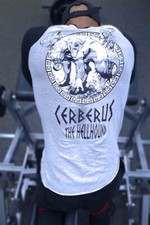T-shirt allenamento Iron Gods Cerberus, camicia palestra, abbigliamento palestra, vestito palestra uomo