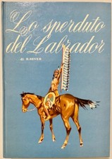 LO SPERDUTO DEL LABRADOR di R