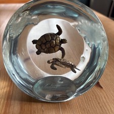 Scultura Terra Tartaruga Dan