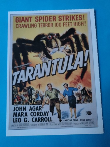 Tarantola 1955 cartolina - 1955,