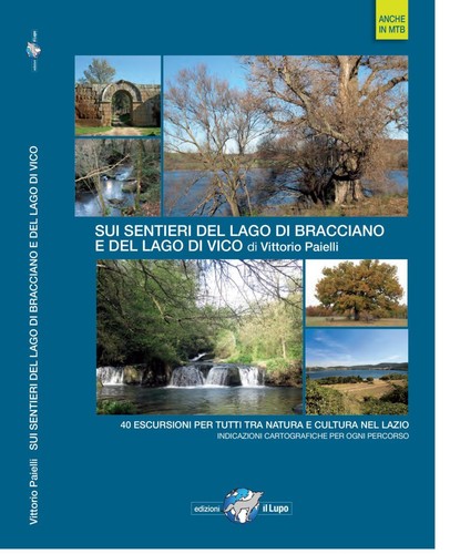 Libri vittorio paielli sui - libri,
