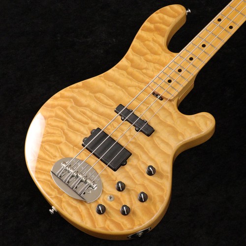Lakland shoreline series - shoreline,