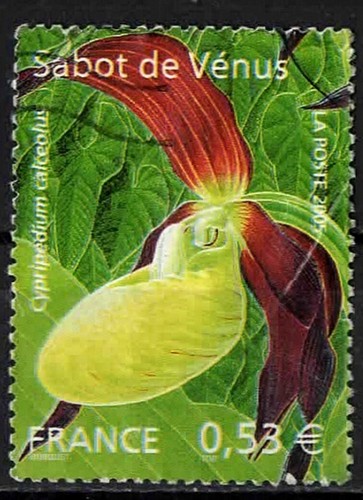 2005 sabot vénus - 2005.,