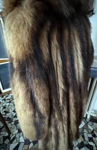 Pelliccia marmotta - pelliccia,
