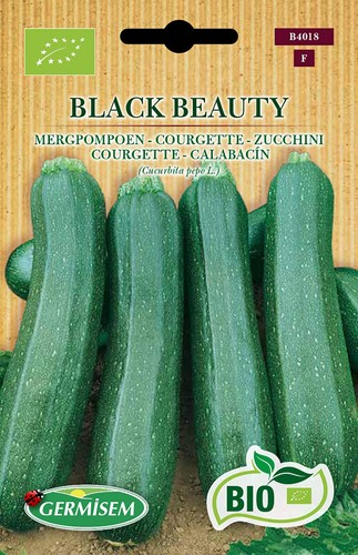 Germisem biologico black - biologico,