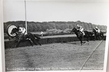 19541 Foto Prezzo Il