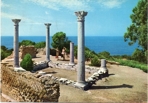 Grosseto isola di giannutri - grosseto,