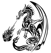 DRAGO Stikers-Adesivo Prespaziato-Silhouette decorazioni stampe auto moto casa