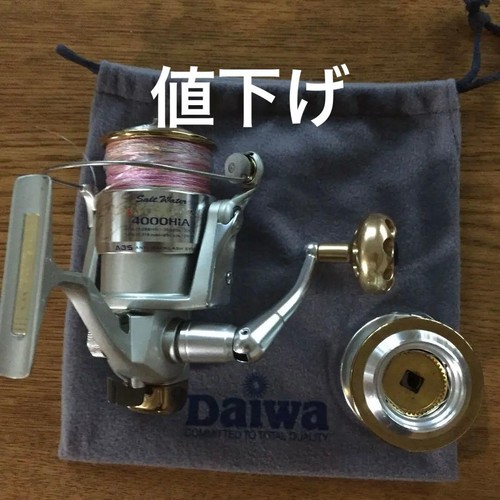 Daiwa salt water team - salt,