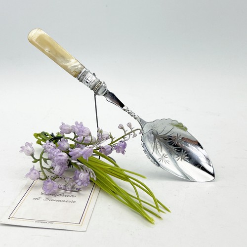 Cucchiaio argento sheffield - cucchiaio,