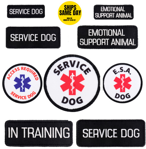 Servizio cane supporto - servizio, cane,