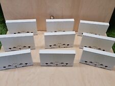 The Cat's Meow My World 2007