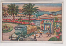 CARTOLINA SANREMO IMPERIA  DITTA TUGNOLI ESPORTAZIONE FIORI ILLUSTRATA  NO VG