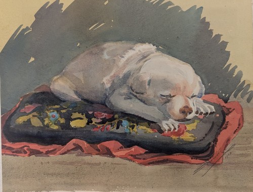 Cucciolo addormentato