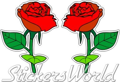 Rose rosse fiore - rosse,