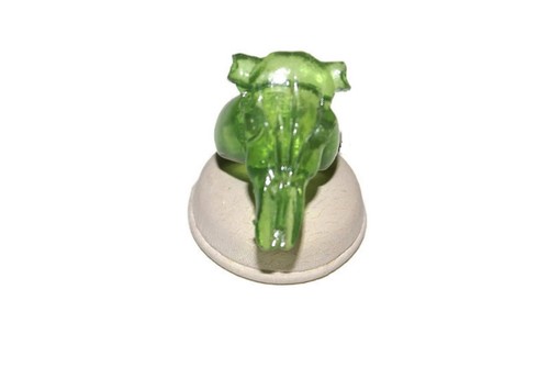 Anello mucca teschio verde