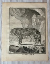 1767 litografia stampa
