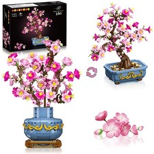 Set bonsai con fiori di - di,